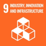 SDG 8